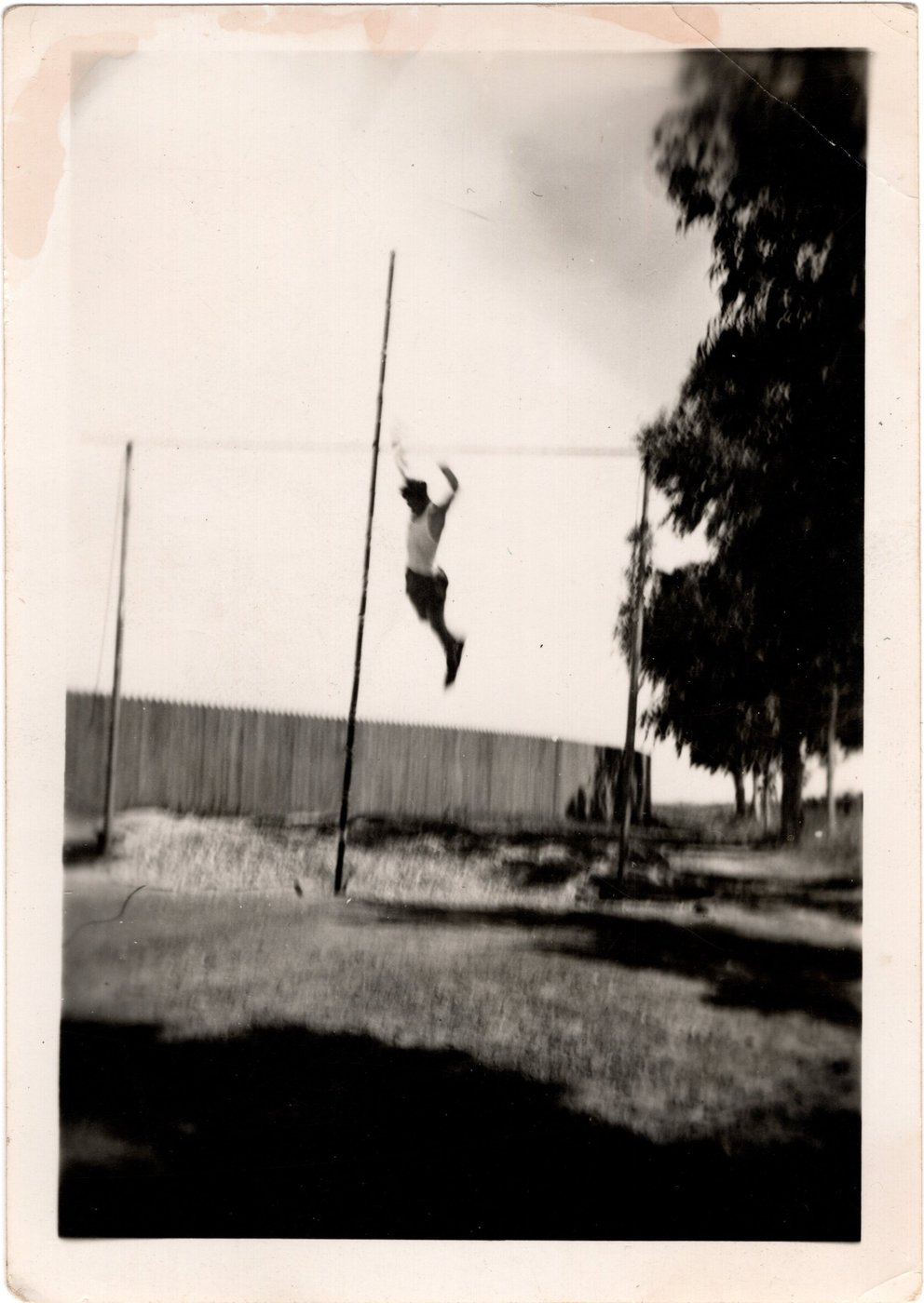 Benny Enea at the top of a vault, a fence and eucalyptus behind