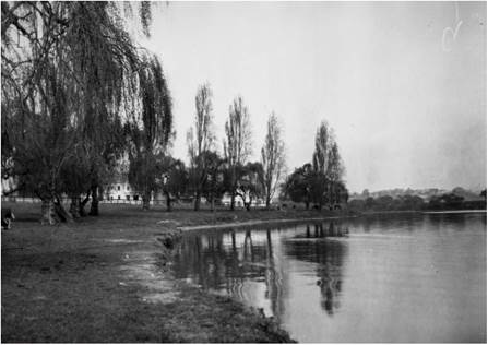 Willows and poplars along the western shore of Lake Merritt, about 1915