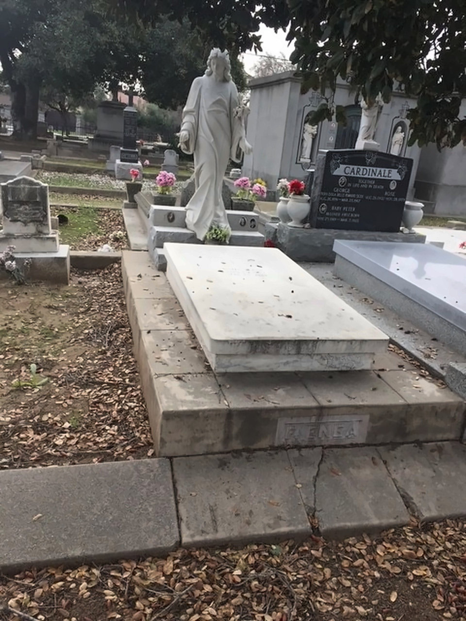 The Enea family plot, a marble slab beneath a statue of Christ, ENEA cut into the curb