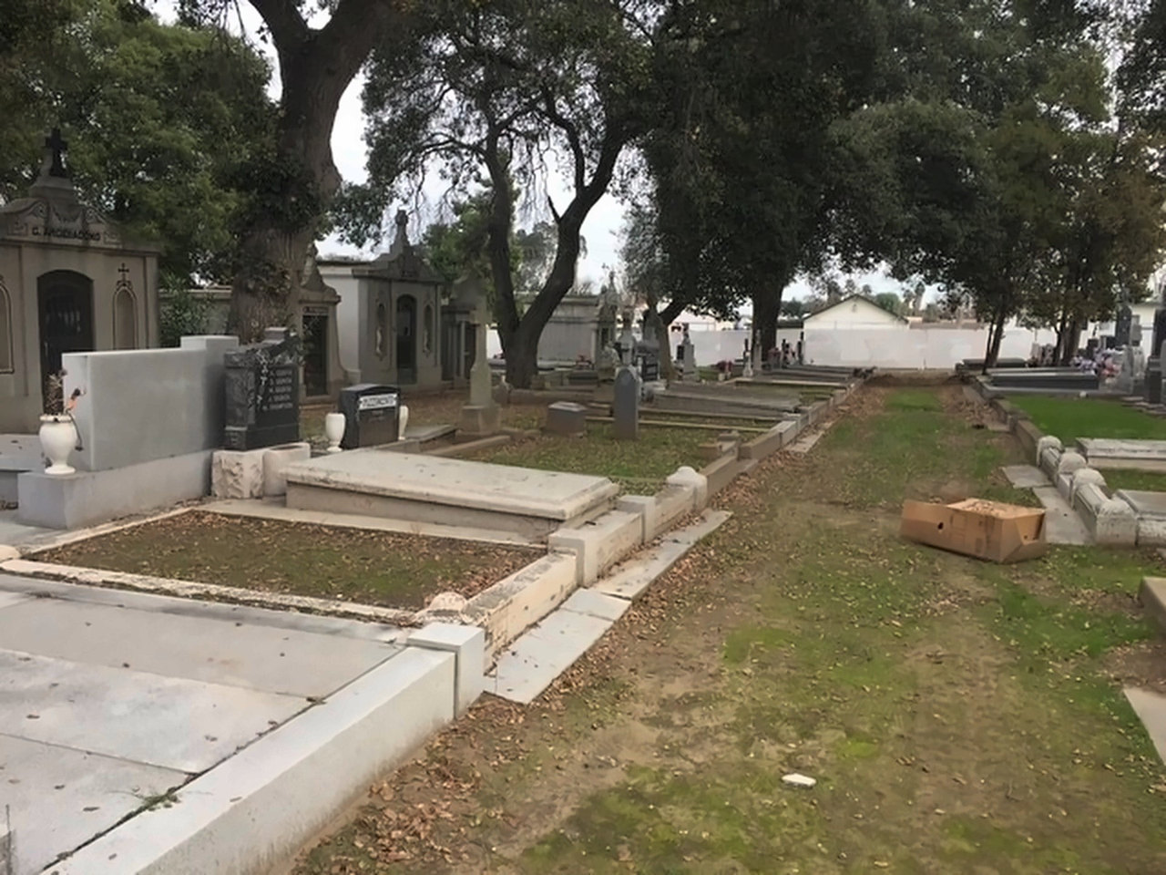 Wide view down the cemetery row containing the Giunta graves